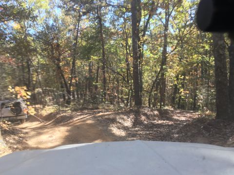 1979 Ford Bronco - A light-colored SUV is seen from the interior of another vehicle, navigating a dirt road through a wooded area with autumn foliage.