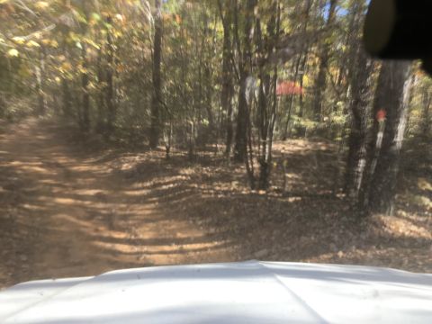 1979 Ford Bronco - The front view of a white vehicle's hood is visible at the bottom of the frame, looking out onto a dirt road through a forest with autumn f…