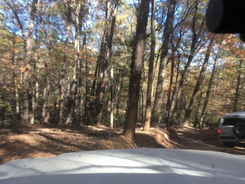 1979 Ford Bronco - A silver SUV with a spare tire on the back drives down a dirt road through a forest with autumn foliage. The vehicle is seen from the front…