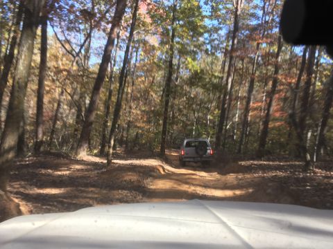 1979 Ford Bronco - A light-colored SUV with a spare tire mounted on the rear is driving on a dirt road through a forest with autumn foliage.