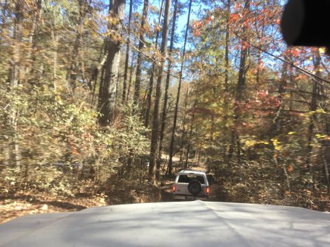 1979 Ford Bronco - A white SUV with a spare tire mounted on the rear door drives down a dirt road through a forest with autumn foliage.