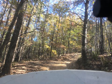 1979 Ford Bronco - A dirt road winds through a forest with trees showing autumn colors. The foreground is dominated by the white hood of an unseen vehicle.