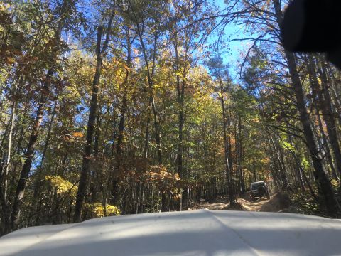 1979 Ford Bronco - A white SUV drives up a dirt path through a forest with colorful autumn foliage. The vehicle is seen from the perspective of another vehicl…