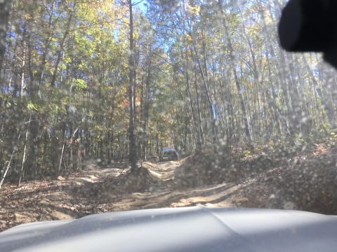 1979 Ford Bronco - A dirt road winds through a forest with autumn foliage, leading to a white SUV in the distance. The photo is taken from inside another vehi…