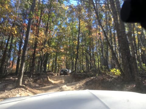 1979 Ford Bronco - Two SUVs drive down a dirt road through a forest with autumn foliage. The perspective is from the hood of another vehicle, looking forward.