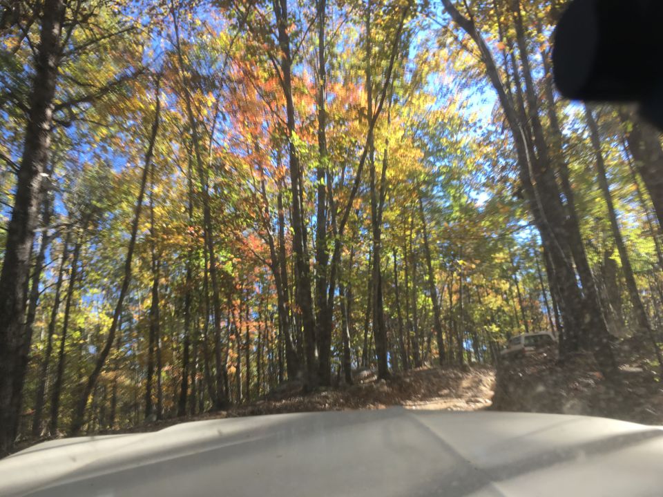 SUV parked on a dirt road in autumn woods, viewed from inside another vehicle.