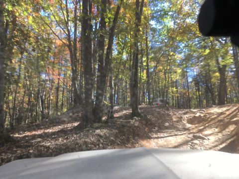 1979 Ford Bronco - A white SUV is parked on a dirt path in a wooded area during the fall. The trees have colorful autumn leaves and the ground is covered in f…