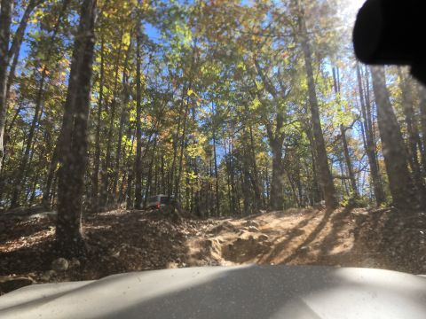 1979 Ford Bronco - A white SUV is parked on a dirt path in a wooded area during the fall. The vehicle is viewed from a low angle, looking up towards the trees…