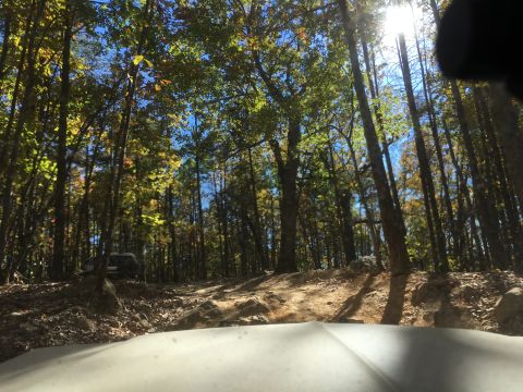1979 Ford Bronco - A dark-colored SUV is parked on a rocky, wooded trail during autumn. The sun shines brightly through the trees, casting shadows on the path.