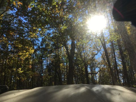 1979 Ford Bronco - The sun shines brightly through the trees in a forest setting. The foreground shows a curved, light-colored surface, possibly the hood of a…