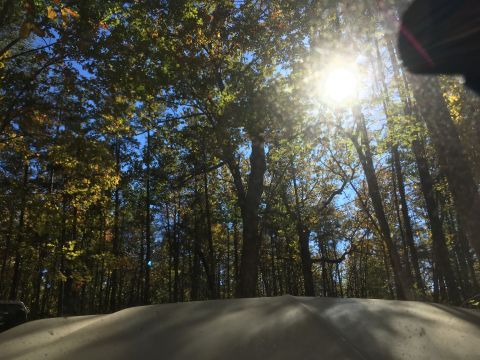 1979 Ford Bronco - A sun-drenched forest scene with autumn foliage is viewed from behind the curved, light-colored hood of a vehicle. The sun's rays pierce th…