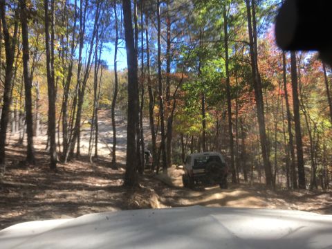 1979 Ford Bronco - A light-colored SUV with a spare tire mounted on the rear is driving on a dirt trail through a forest with autumn foliage.