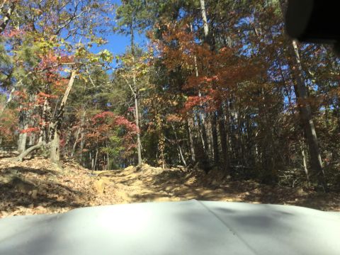 1979 Ford Bronco - The front of a white vehicle is visible in the foreground, looking out onto a dirt path winding through a forest with autumn foliage.