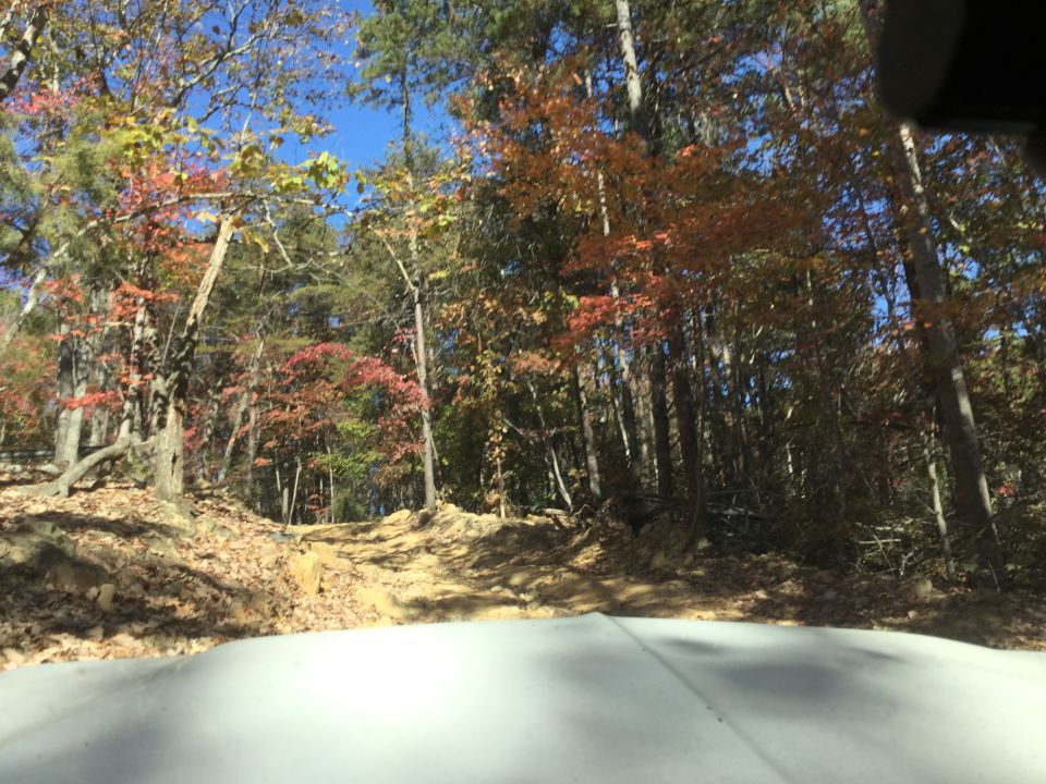 Front of a white vehicle on a dirt path in an autumn forest.