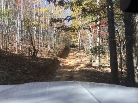 1979 Ford Bronco - A white vehicle's hood is visible in the foreground, looking up a steep, dirt trail through a forest with autumn foliage. Another vehicle i…