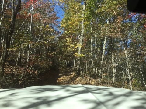 1979 Ford Bronco - A dirt road winds through a forest with trees displaying autumn colors. The foreground shows the hood of a white vehicle with shadows cast…