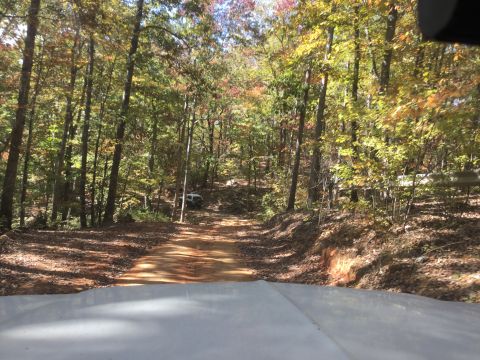1979 Ford Bronco - A white SUV is parked on a dirt road in a forest during autumn. The vehicle is seen from the perspective of another vehicle driving on the…