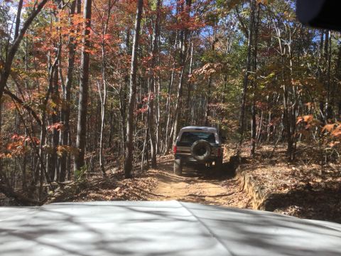 1979 Ford Bronco - A rear-view of a dark-colored SUV with a spare tire mounted on the back is driving on a dirt trail through a forest with autumn foliage.