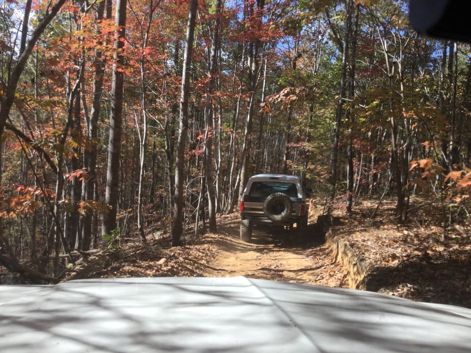 Rear view of a dark SUV on a dirt trail in an autumn forest.