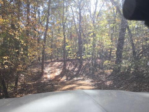 1979 Ford Bronco - A dirt road winds through a forest with trees displaying autumn foliage. The sun shines through the branches, casting dappled light on the…