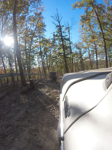 1979 Ford Bronco - A white SUV drives on a dirt road through a forest with trees on either side. The sun shines brightly through the trees on the left side of…