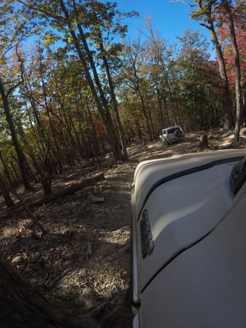 1979 Ford Bronco - A white SUV is seen driving on a dirt trail through a forest with autumn foliage. The perspective is from another vehicle, showing its side…