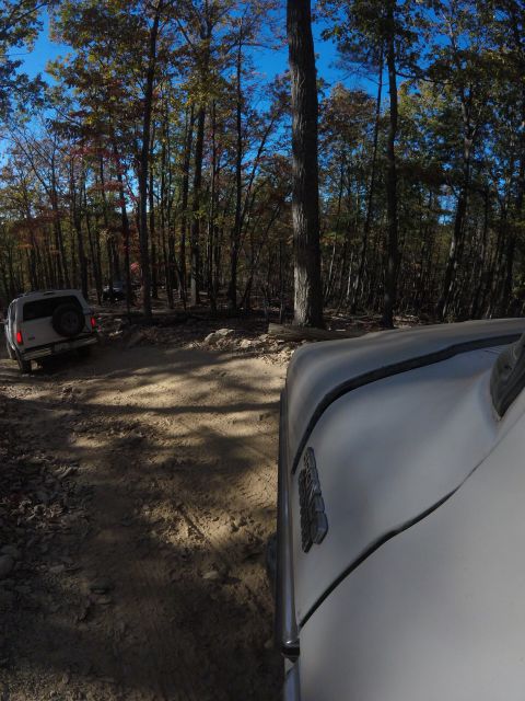 1979 Ford Bronco - A white SUV with a spare tire on the back is driving on a dirt road through a forest with autumn foliage. The front of another vehicle is v…