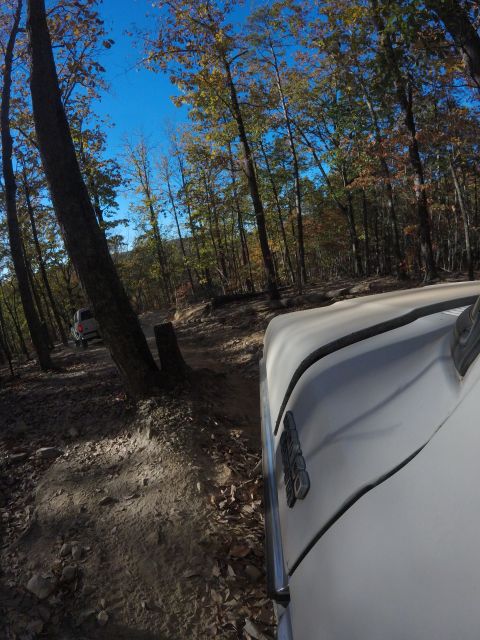 1979 Ford Bronco - A white Ford Bronco is seen from a low angle, driving on a dirt road through a forest during autumn. The side of the vehicle shows the "Bro…