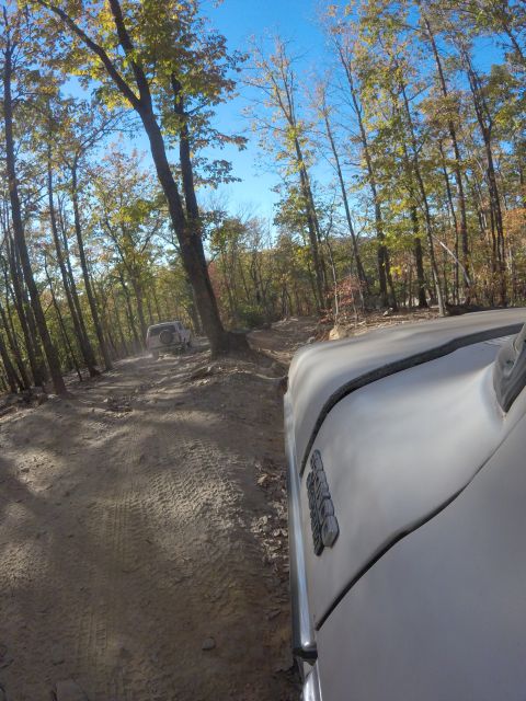 1979 Ford Bronco - A light-colored Ford Bronco drives down a dirt road through an autumn forest. The vehicle is seen from a low angle, emphasizing the side of…