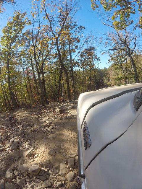 1979 Ford Bronco - A light-colored vehicle drives on a rocky, dirt path through a forest with autumn foliage. The side of the vehicle and part of its hood are…