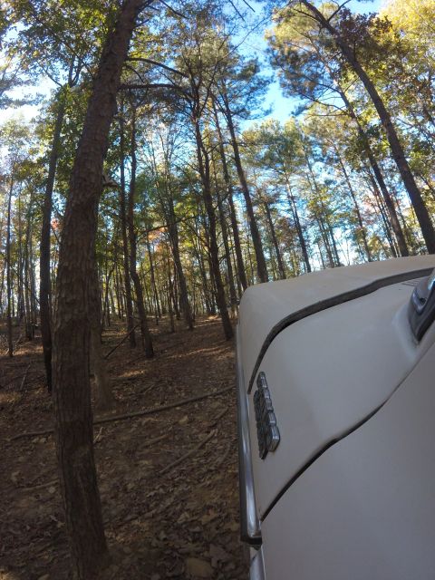 1979 Ford Bronco - A low-angle shot shows the front fender and hood of a light-colored vehicle driving through a wooded area. The vehicle's chrome trim and em…