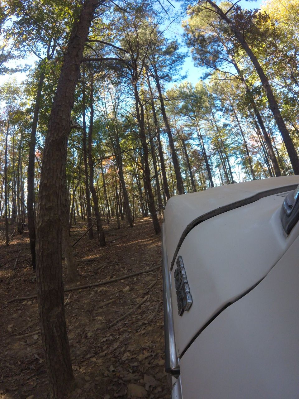 Light-colored vehicle driving through a forest, showing front fender and hood.