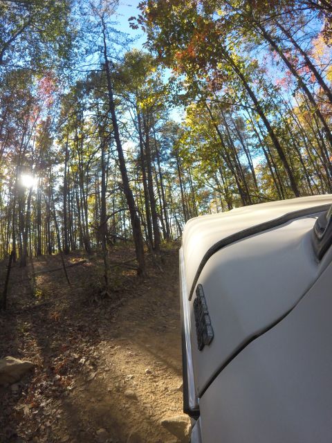 1979 Ford Bronco - A light-colored vehicle, likely an SUV, drives on a dirt path through a wooded area with tall trees and fallen leaves. The sun shines throu…