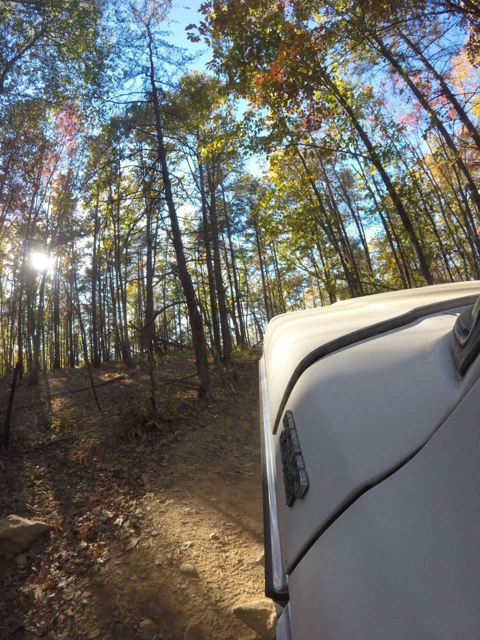 Light-colored SUV driving on a dirt path in a forest during autumn.