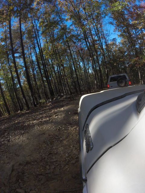 1979 Ford Bronco - A white SUV is driving on a dirt road through a forest with tall trees. The front of another white vehicle is in the foreground, partially…