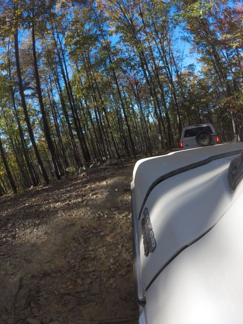1979 Ford Bronco - A white vehicle, likely an SUV, drives on a dirt path through a forest with tall trees. The vehicle's front fender and hood are visible in…