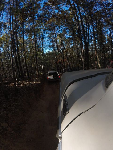1979 Ford Bronco - A white SUV is driving on a dirt road through a forest. The photo is taken from the perspective of another vehicle following closely behind.