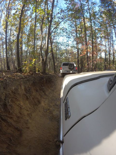 1979 Ford Bronco - A white Ford Bronco is driving on a dirt trail through a forest with tall trees. The perspective is from another vehicle following closely…
