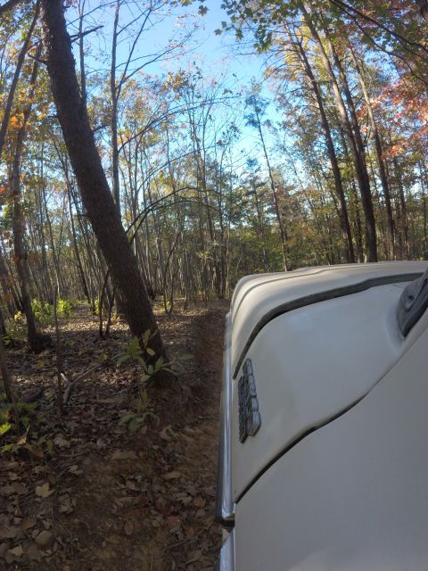1979 Ford Bronco - The right side of a light-colored vehicle is shown driving on a dirt path through a forest during autumn. The vehicle's fender and part of…