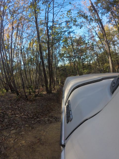 1979 Ford Bronco - A white vehicle, likely an SUV, drives along a dirt path through a wooded area. The side of the vehicle and part of its hood are visible, a…