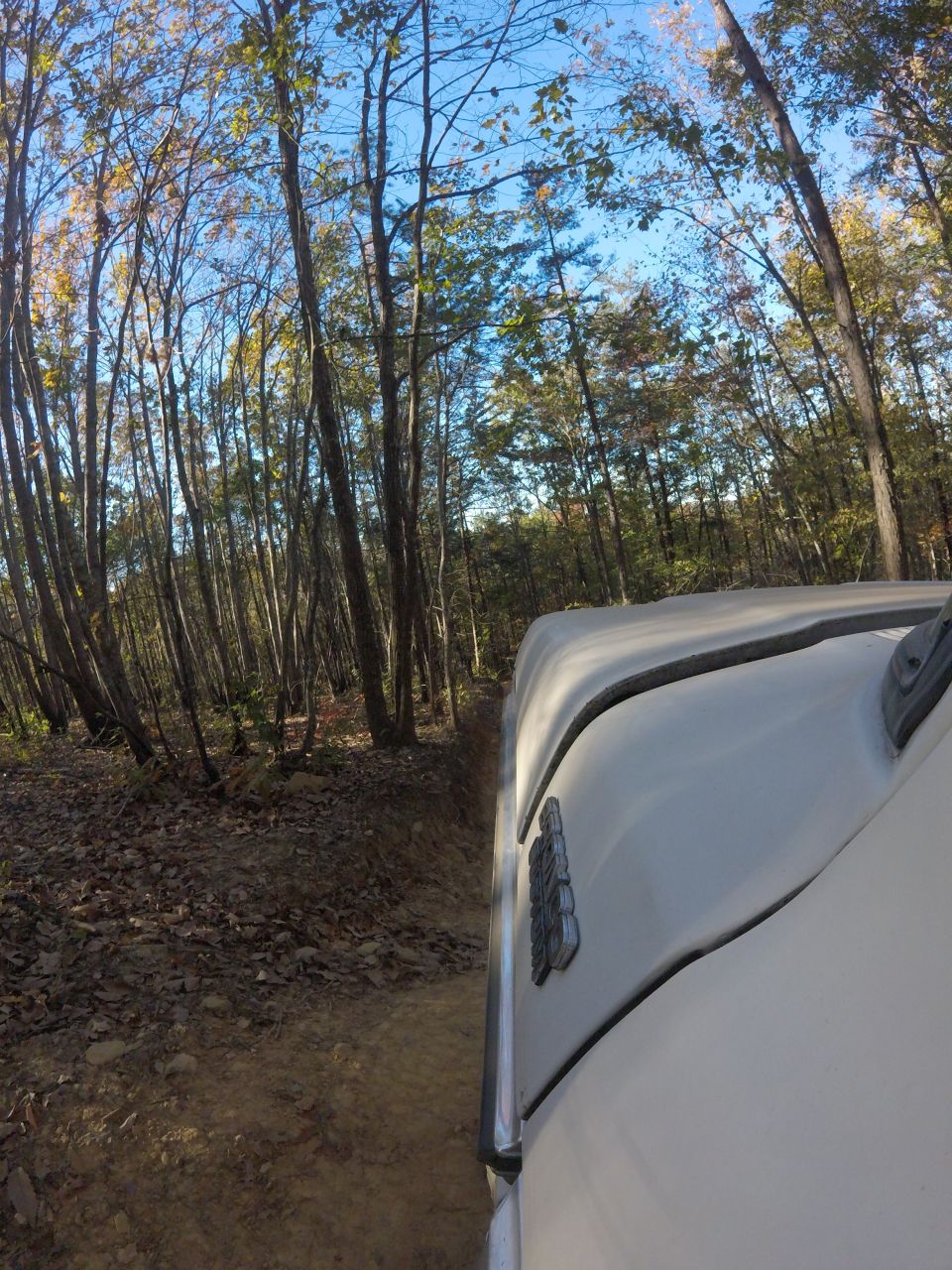 White SUV driving on a dirt path in a forest, showing side view and fender emblem.