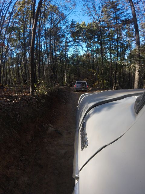 1979 Ford Bronco - A white vehicle is seen from a low angle, driving on a dirt road through a forest. Another vehicle is visible further up the road.