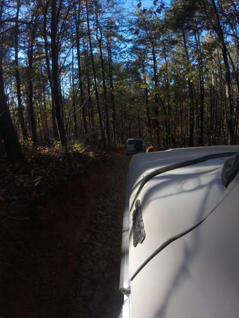 1979 Ford Bronco - Two SUVs navigate a wooded trail under a clear blue sky.