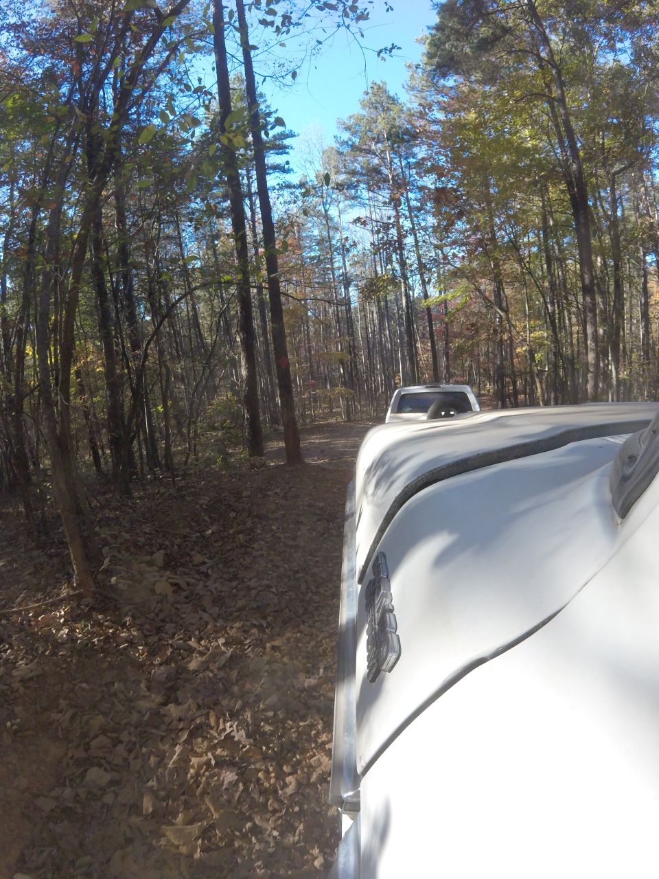 White SUV driving on a dirt road through a forest, with another white vehicle ahead