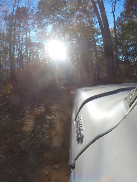 1979 Ford Bronco - A white SUV navigates a wooded dirt road, with the sun shining brightly through the trees.