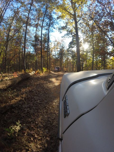 1979 Ford Bronco - Two vehicles navigate a wooded path during autumn, with sunlight filtering through the trees.