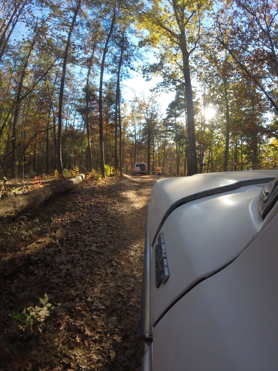 Two white SUVs driving on a dirt road through a forest with fall foliage