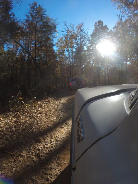 1979 Ford Bronco - Two SUVs drive down a leaf-strewn dirt road through a sun-dappled forest.