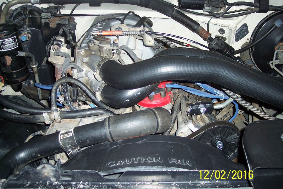 Engine bay with large black hoses and a red distributor cap