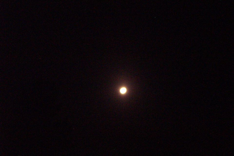 The day begins with a setting moon.
(3/6/2004)